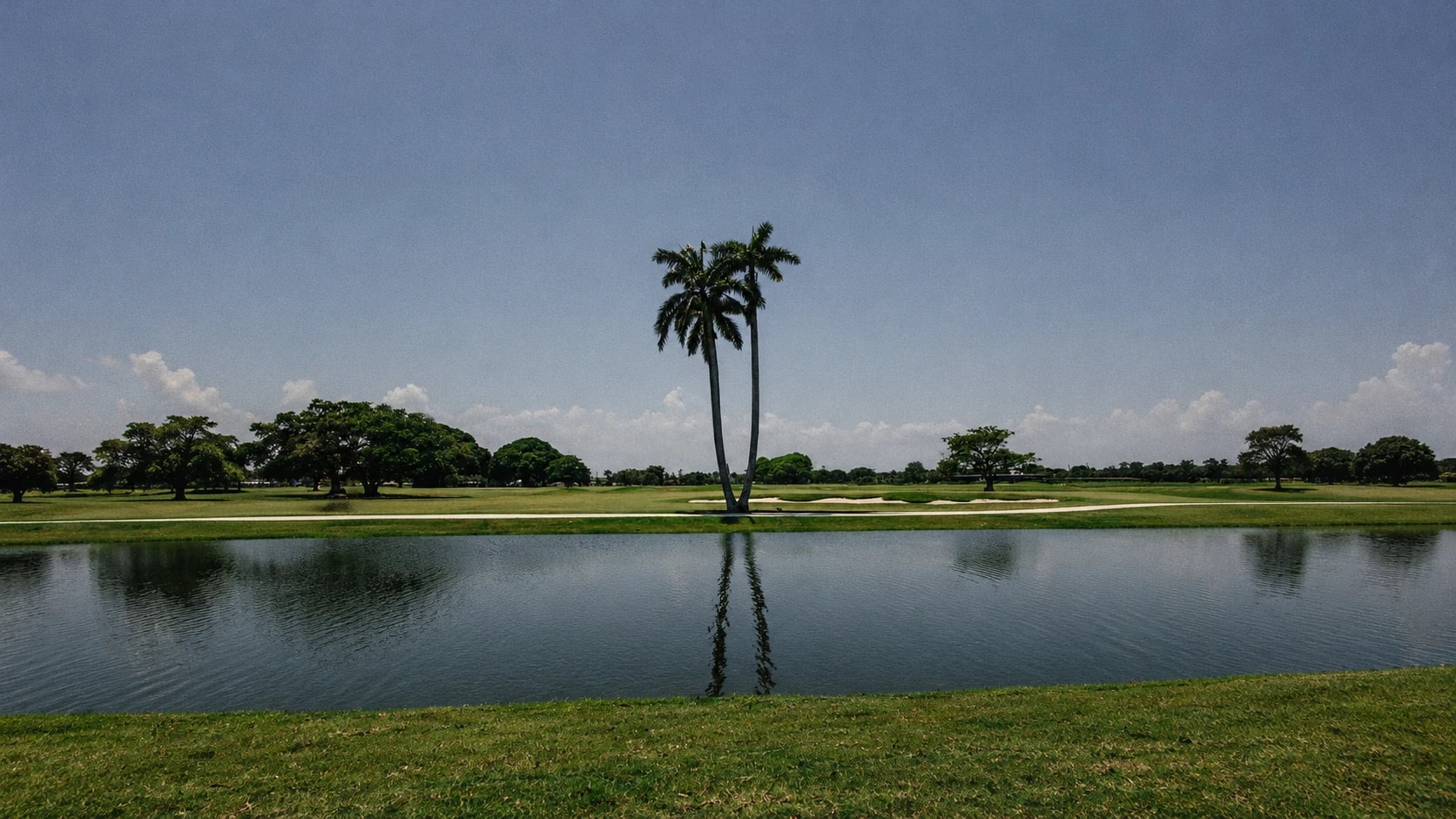 Twin palm trees reflected in a lake on a golf course